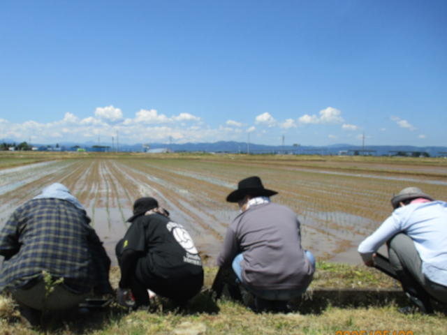 農福連携　田植え