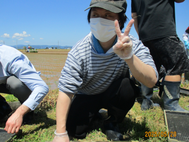 農福連携　田植え